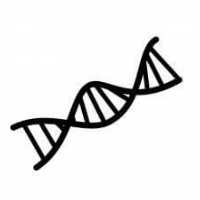 NIPTは遺伝学的にどのような検査なのか